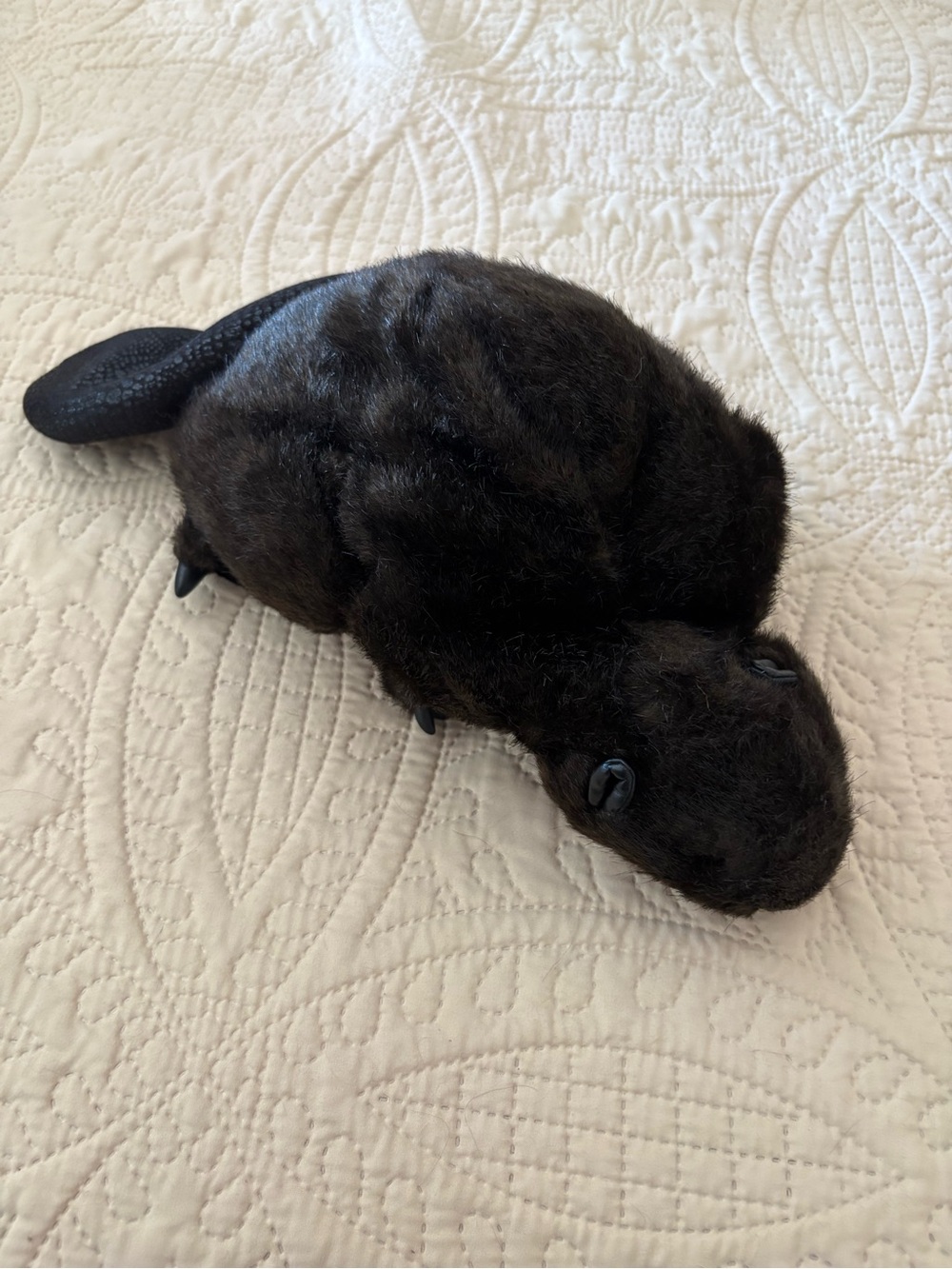 Folkmanis beaver puppet.
